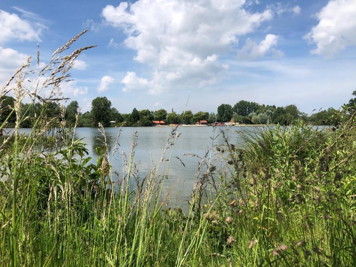 Aux Portes Des Lacs Ardres Exterior foto